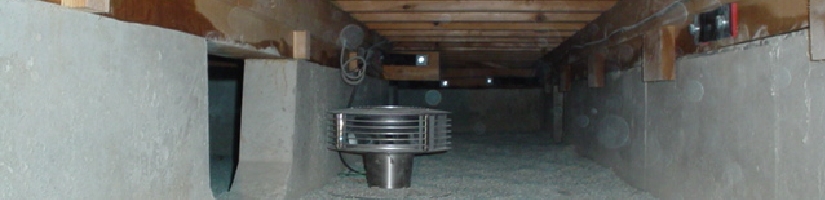 12.JPG